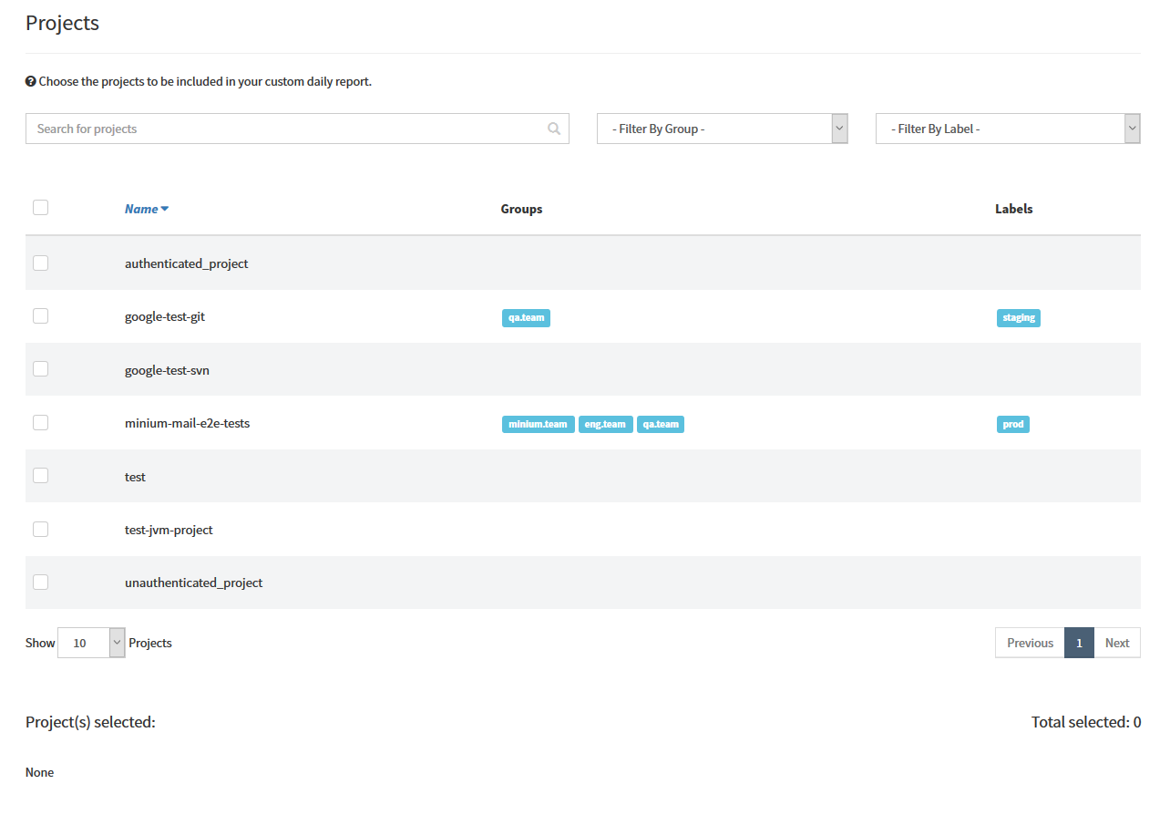 daily report projects