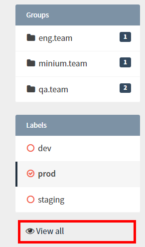 project filter view all